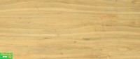 Sàn gỗ THAIXIN 1031 -12ly bản lớn